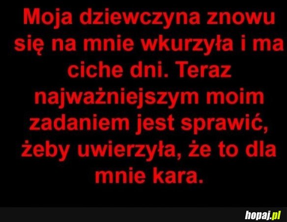 CICHE DNI