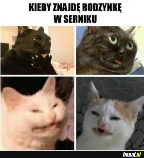 FUJ