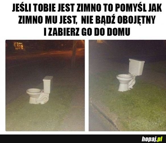 Dbajcie o zwierzątka