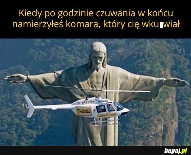 Mam cię
