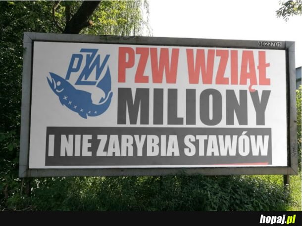 W nienawiści do Polskiego Związku Wędkarskiego, tak mnie wychowano