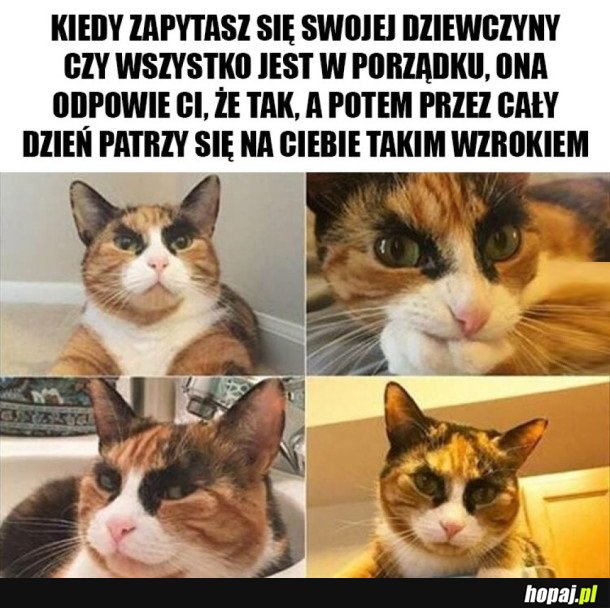 I JAK TU Z NIĄ ŻYĆ