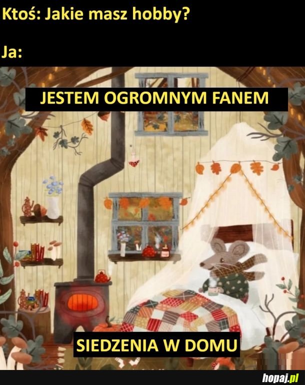 Moje hobby