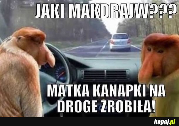 Głupi Pioter