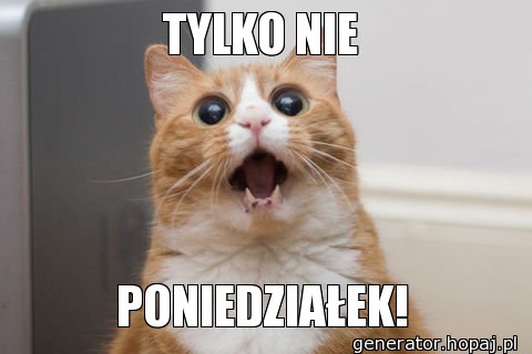 TYLKO NIE