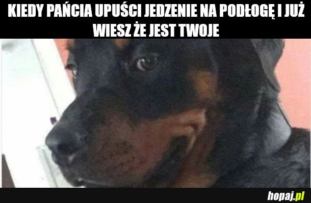 Pieseł