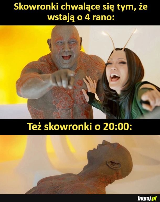 Skowronki