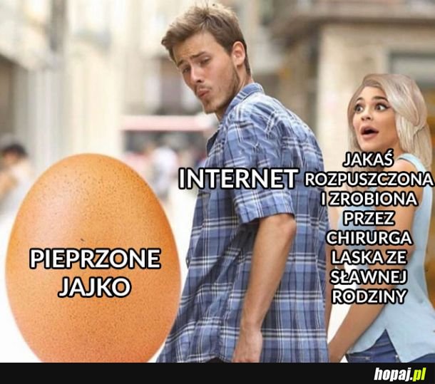 Internet wybrał mądrze