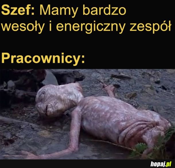 Energiczny zespół