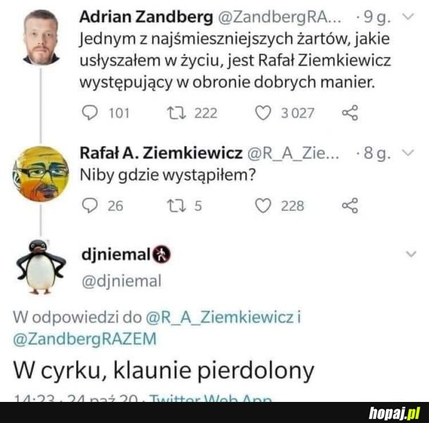 Ziemkiewicz zaorany