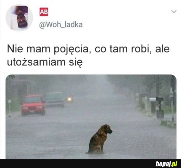 Rozumiem go
