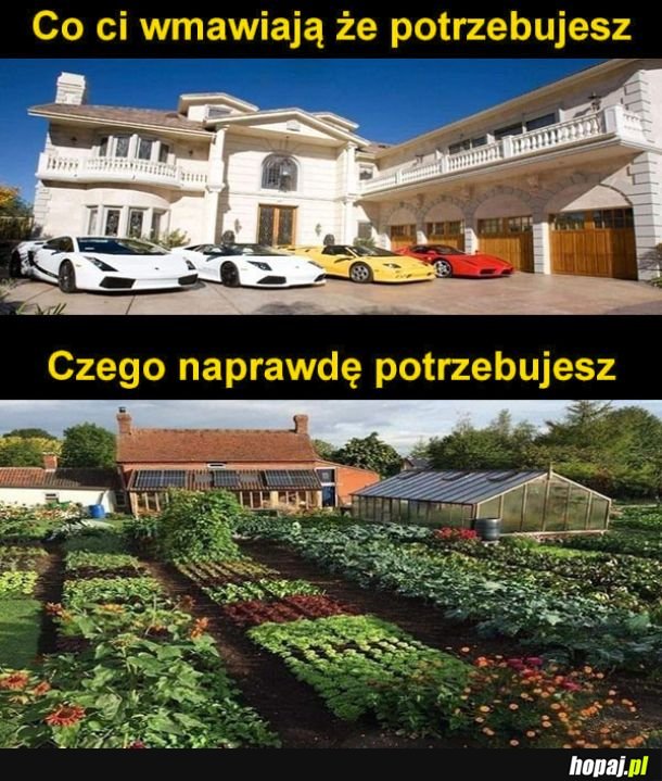 Czego potrzebujesz