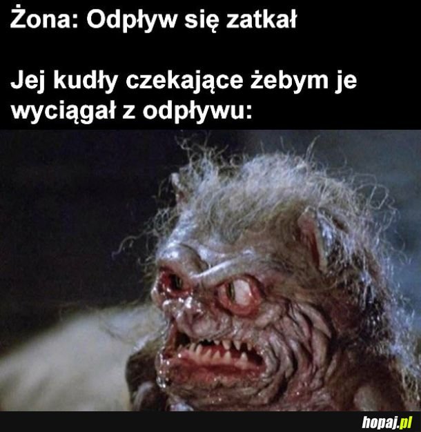 Włosy żony