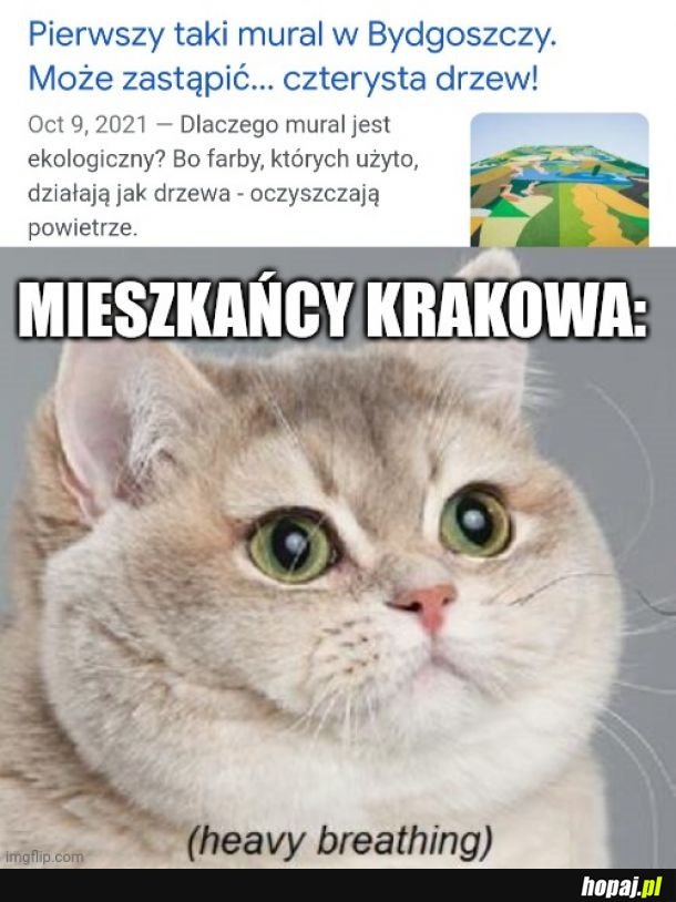 Krakowiacy