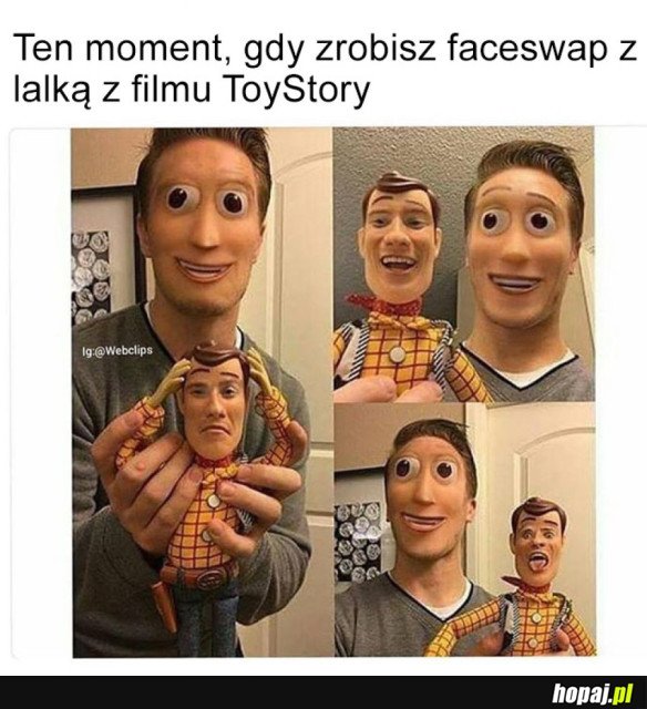 FACESWAP, WERSJA Z TOYSTORY