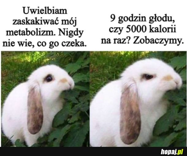 Zobaczymy
