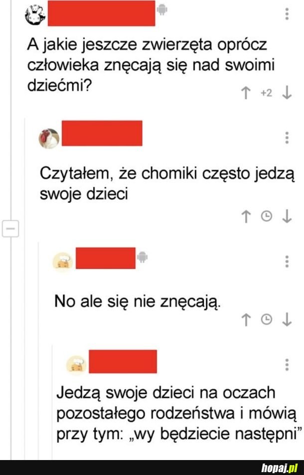 Złe chomiki