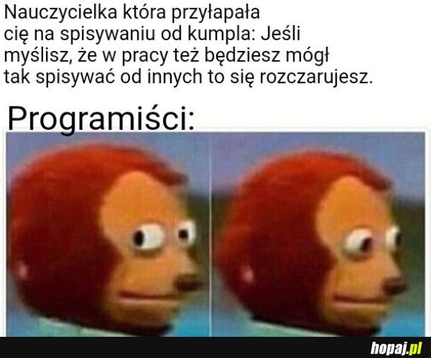 Programiści
