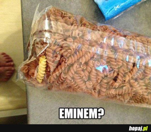 EMINEM, TO TY?