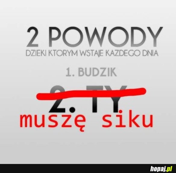 Dwa powody