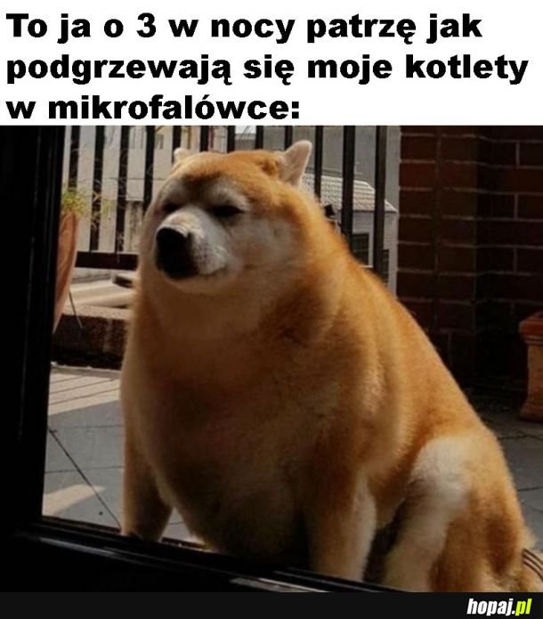 Podjadanie w nocy