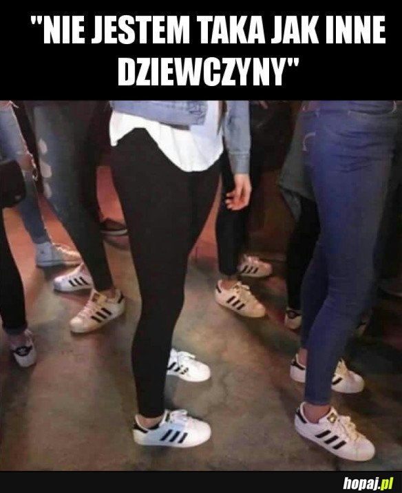 LASKI TAKIE SĄ