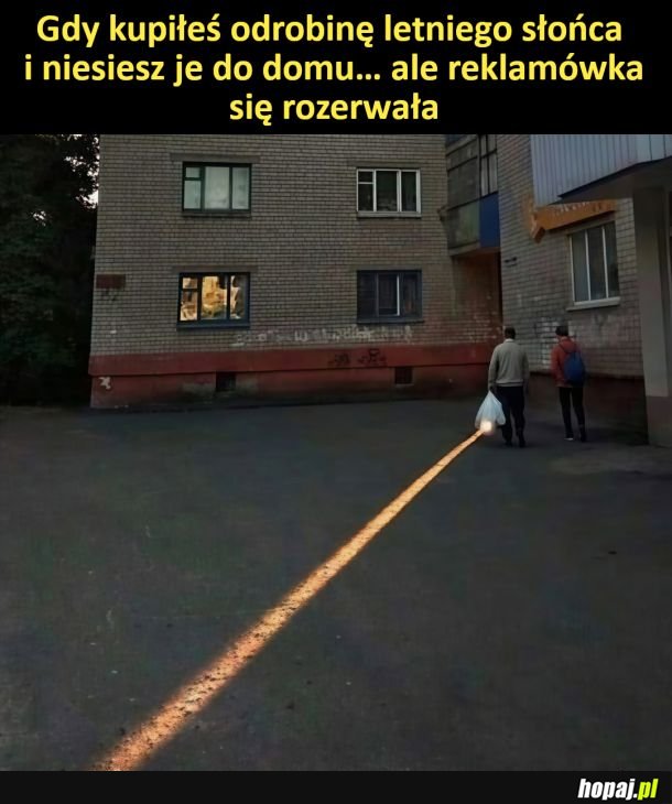 Siata pełna słońca