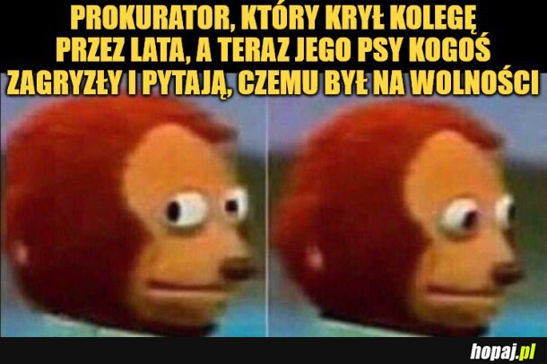 Prokurator.