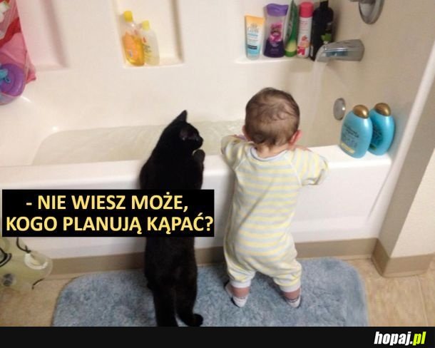 Obawy xd