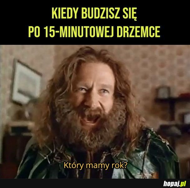 Drzemeczka