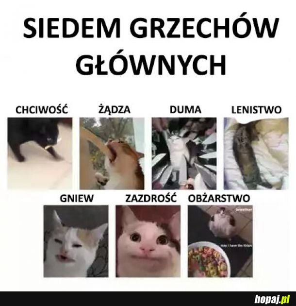 Siedem grzechów