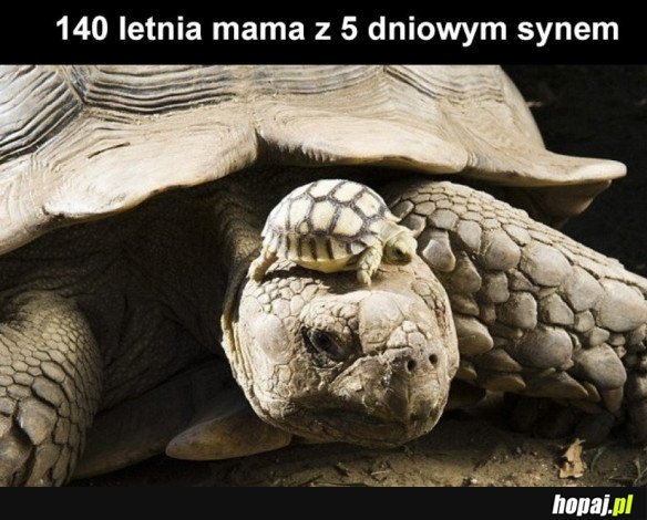 Mama z synkiem