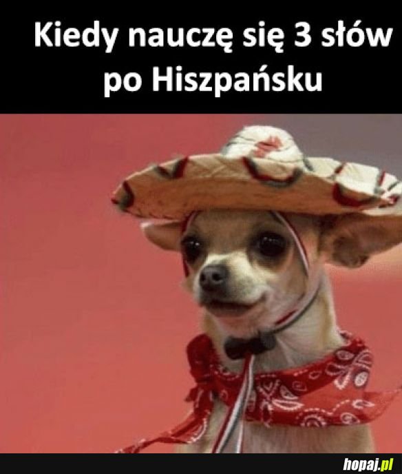 Jestę Hiszpanę