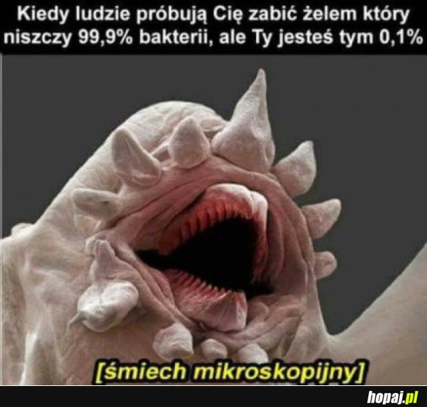 BAKTERIE
