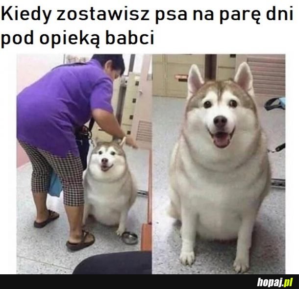 Babcie takie są 