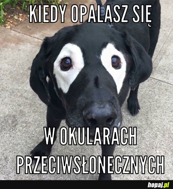 Opalanie