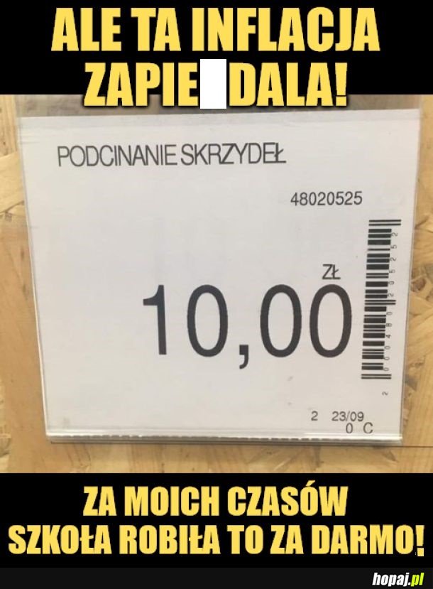 Podcinanie skrzydeł.