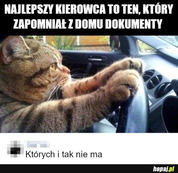 Kierowcy