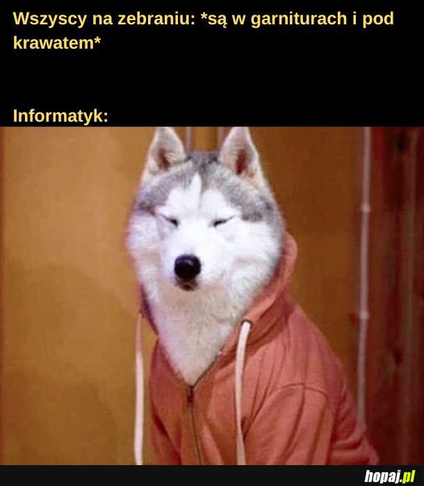 Informatyk.