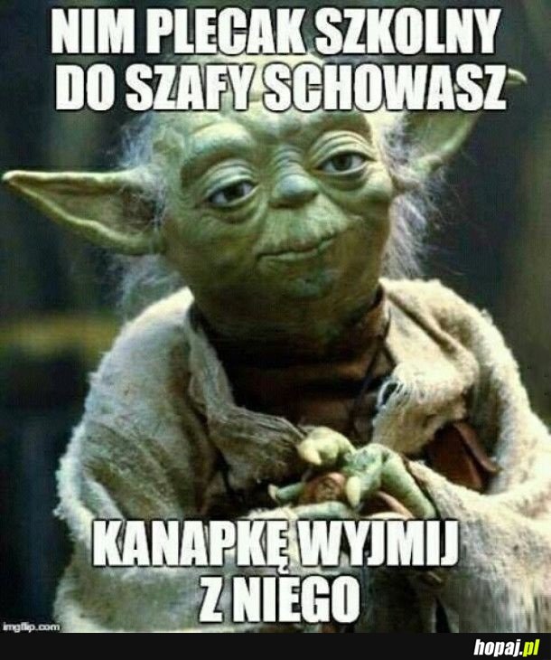 Mądre słowa