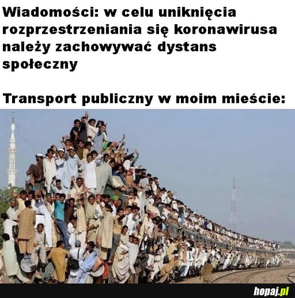 W autobusie