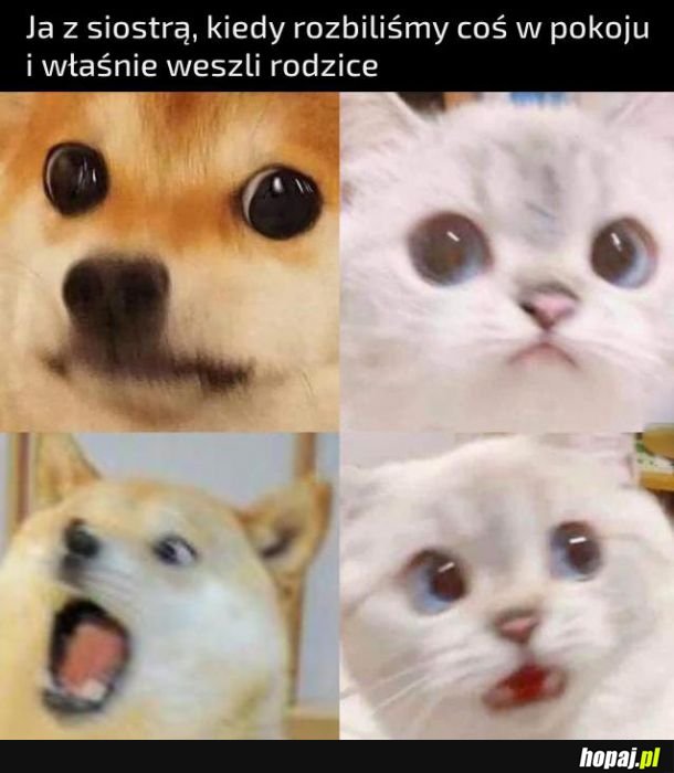Przypał