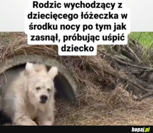 Usypianie nie jest łatwe.