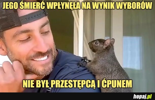 Wiewiórka.