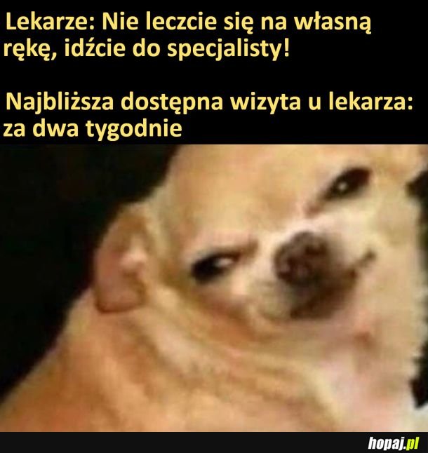 Z takimi terminami ciężko nie leczyć się na własną rękę