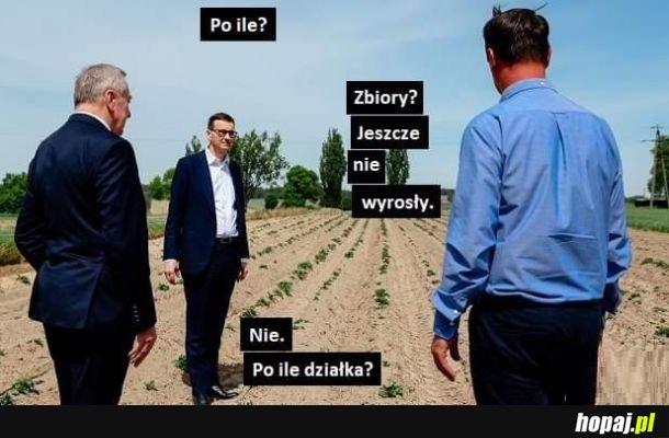 Żona sprzeda z zyskiem