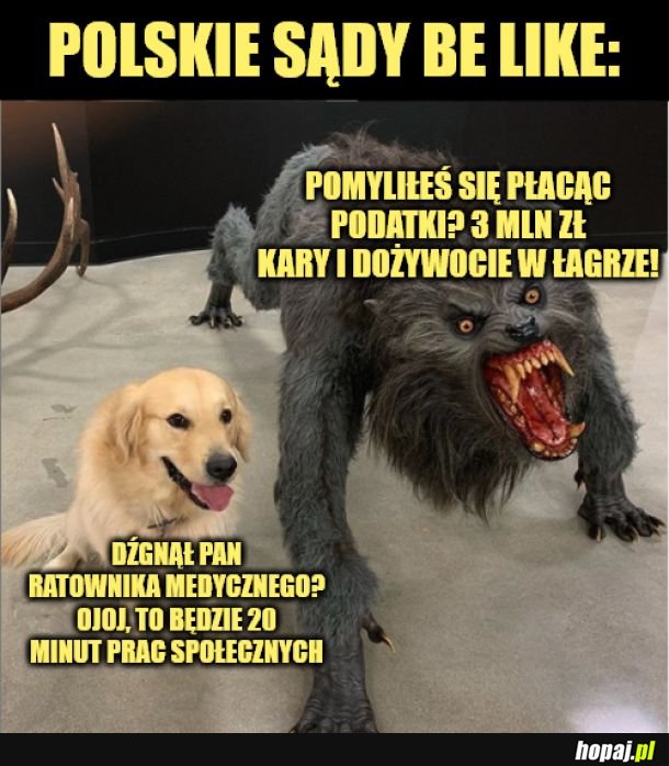 Polskie sądy. 