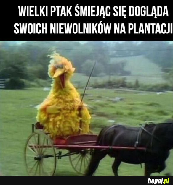 Wielki ptak