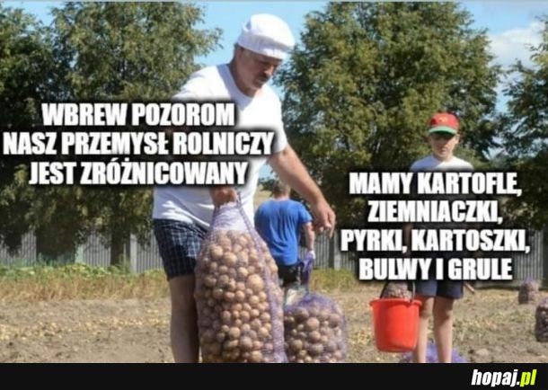 Różnorodność