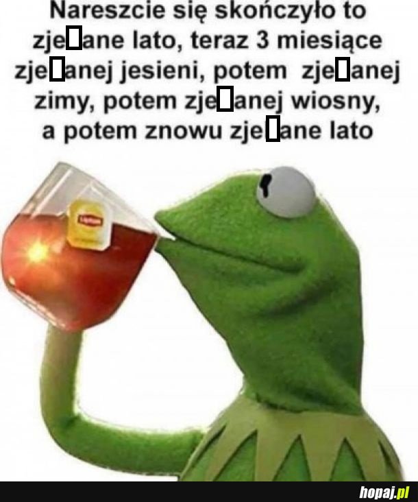 No nareszcie